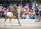 Pferd International 129